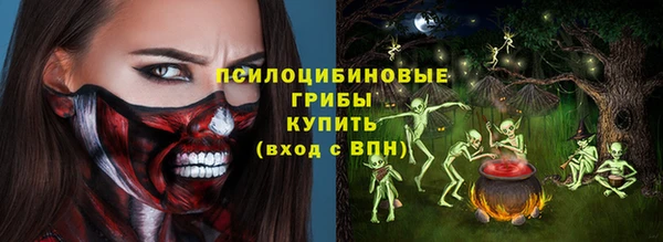 тгк Армянск